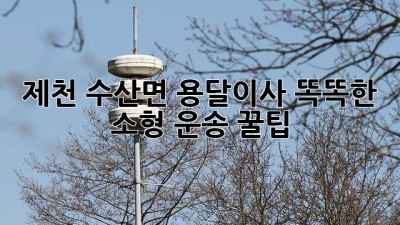 제천 수산면 용달이사🚚💨 똑똑한 소형 운송 꿀팁🍯
